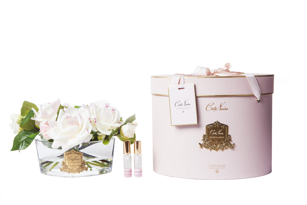 COTE NOIRE- LTD PINK BLUSH - GOLD BADGE PINK BOX
