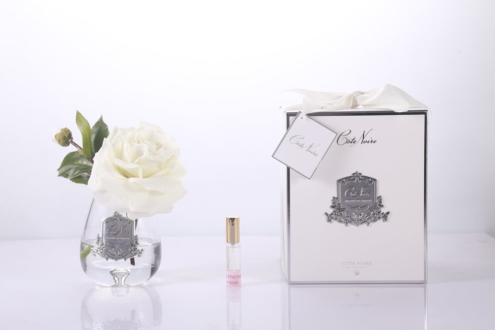 COTE NOIRE TEAR DROP TEA ROSE CLEAR CLASS - IVORY WHITE